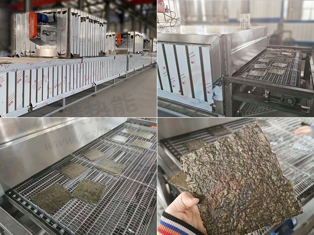 咨詢熱線 199 0510 6622 海苔烘干 拷貝z.jpg